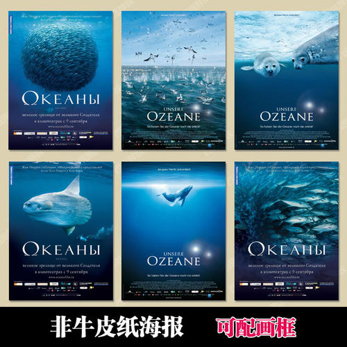高中毕业证英文